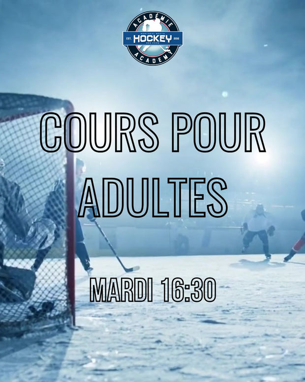 Cours pour adultes - hockey - Academie de hockey - professionnels - patin