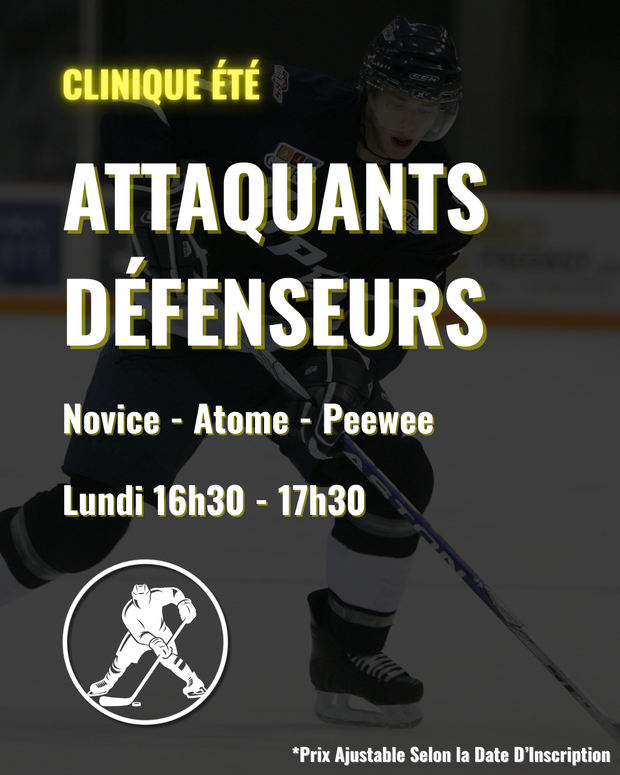 SUMMER Clinic - Forwards - Defensemen - $400/8 Sessions