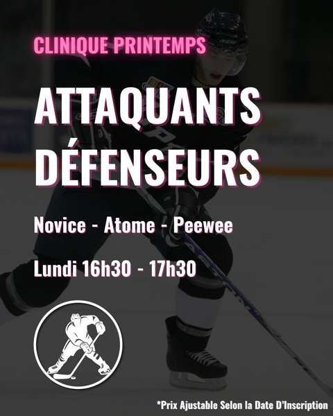 SPRING Clinic - Forwards - Defensemen - $638/11 Sessions